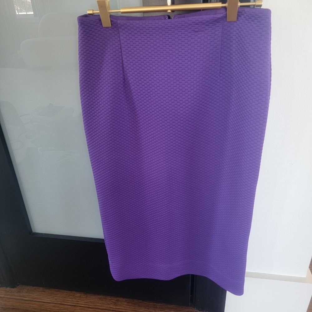 Elegant Purple Women's Skirt